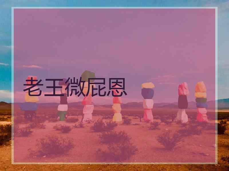 老王微屁恩