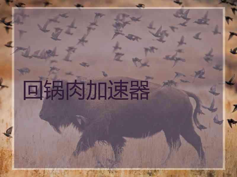 回锅肉加速器