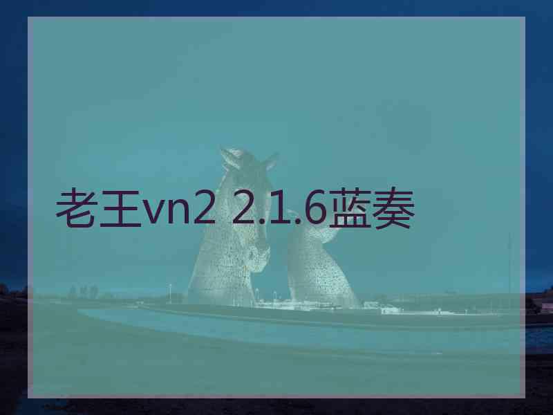 老王vn2 2.1.6蓝奏