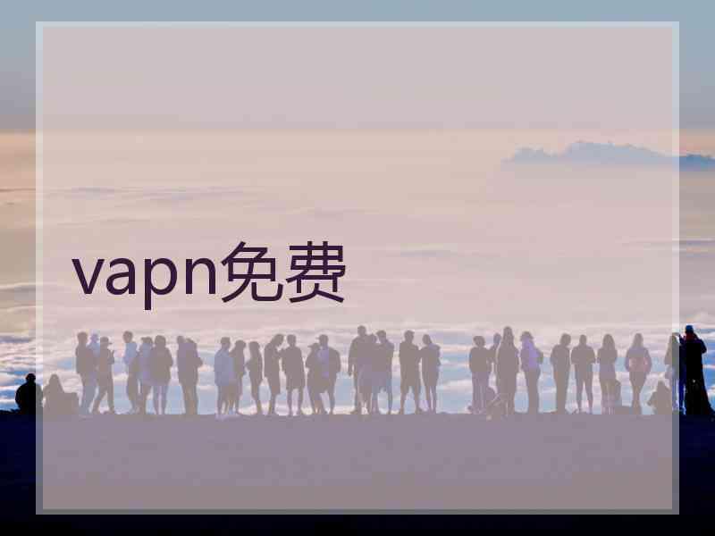 vapn免费