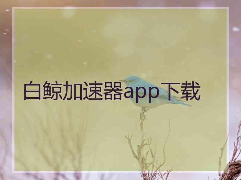 白鲸加速器app下载