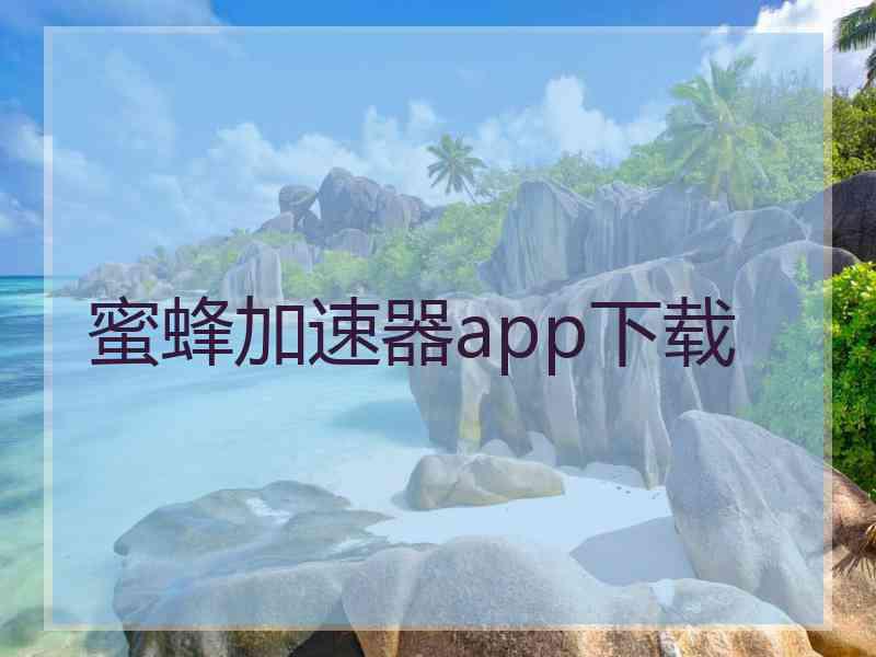 蜜蜂加速器app下载