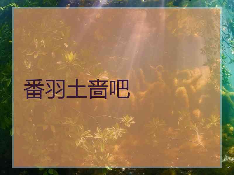 番羽土啬吧