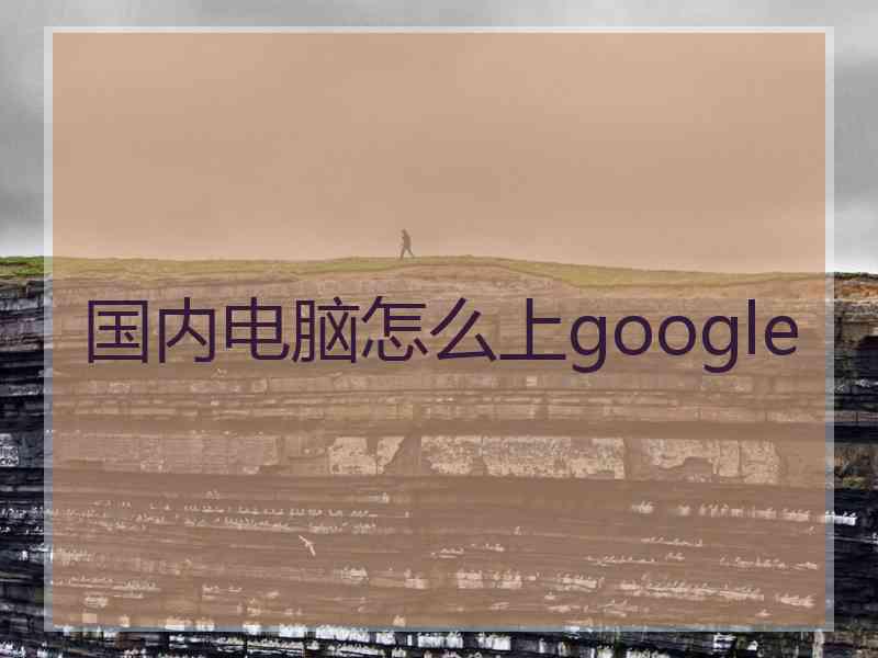 国内电脑怎么上google
