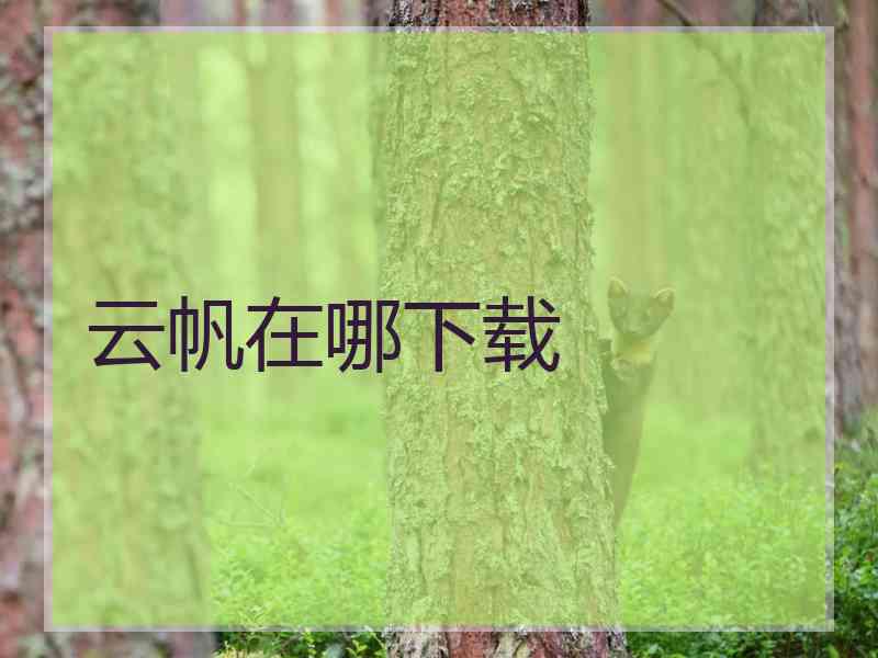 云帆在哪下载