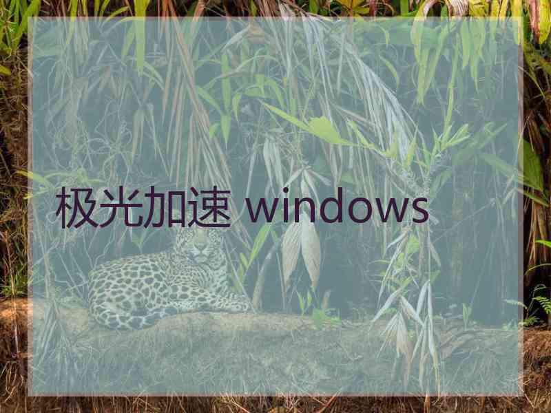 极光加速 windows
