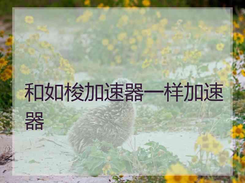 和如梭加速器一样加速器
