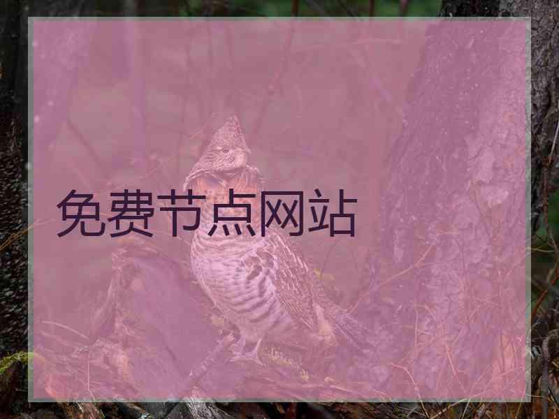 免费节点网站