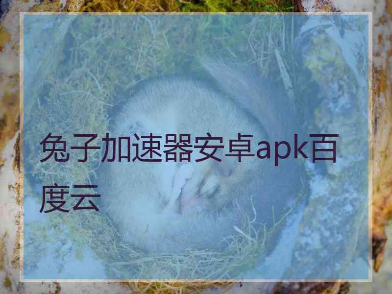 兔子加速器安卓apk百度云