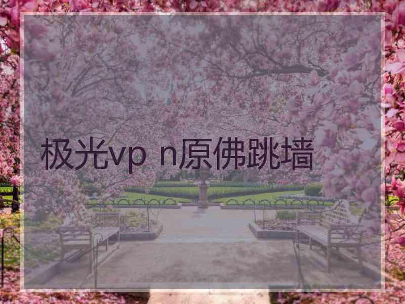 极光vp n原佛跳墙
