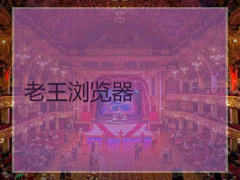 老王浏览器