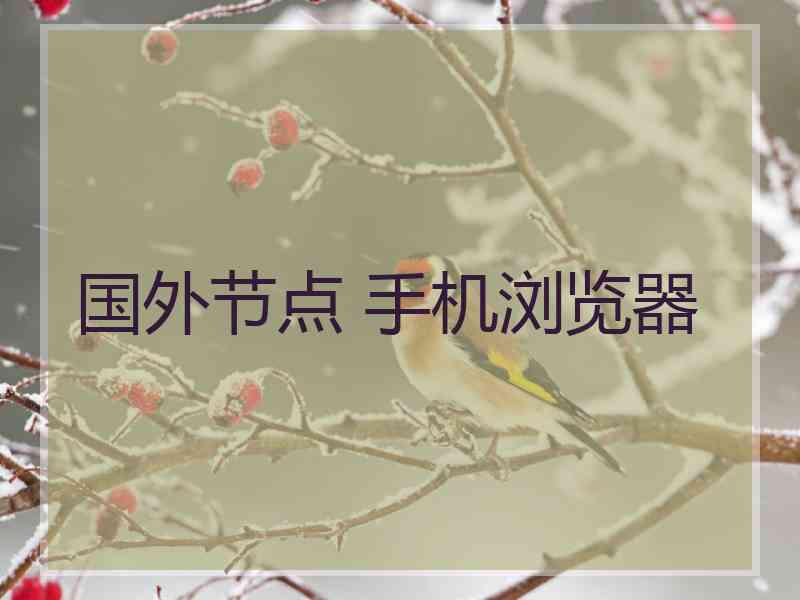 国外节点 手机浏览器