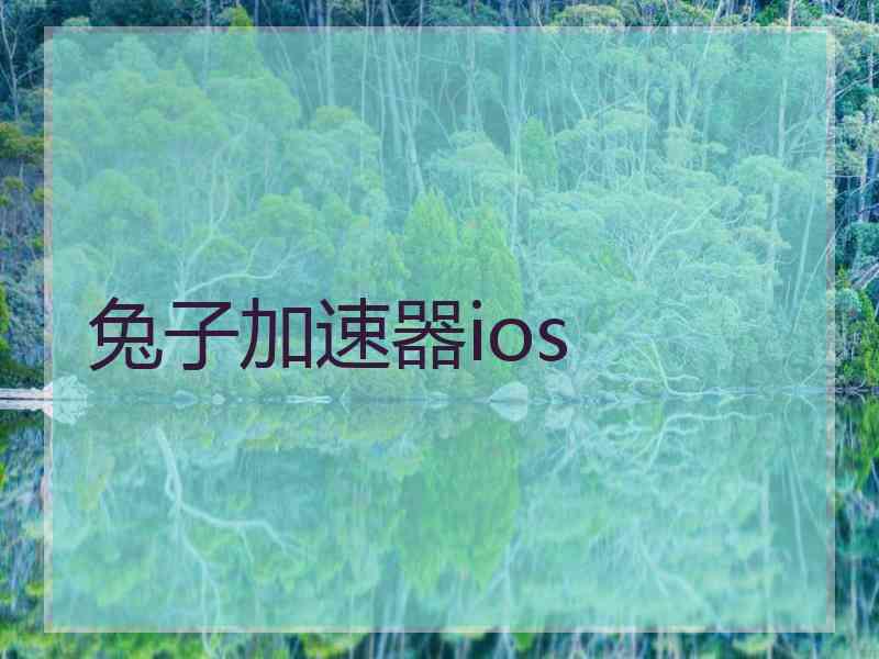 兔子加速器ios