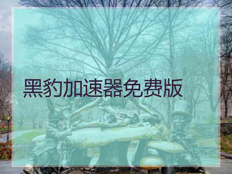 黑豹加速器免费版