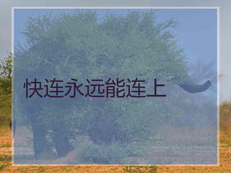 快连永远能连上