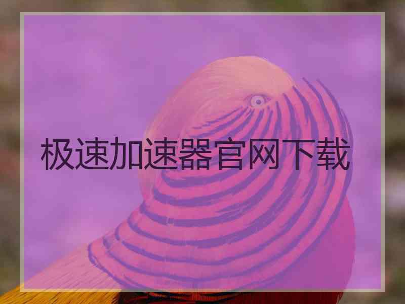 极速加速器官网下载