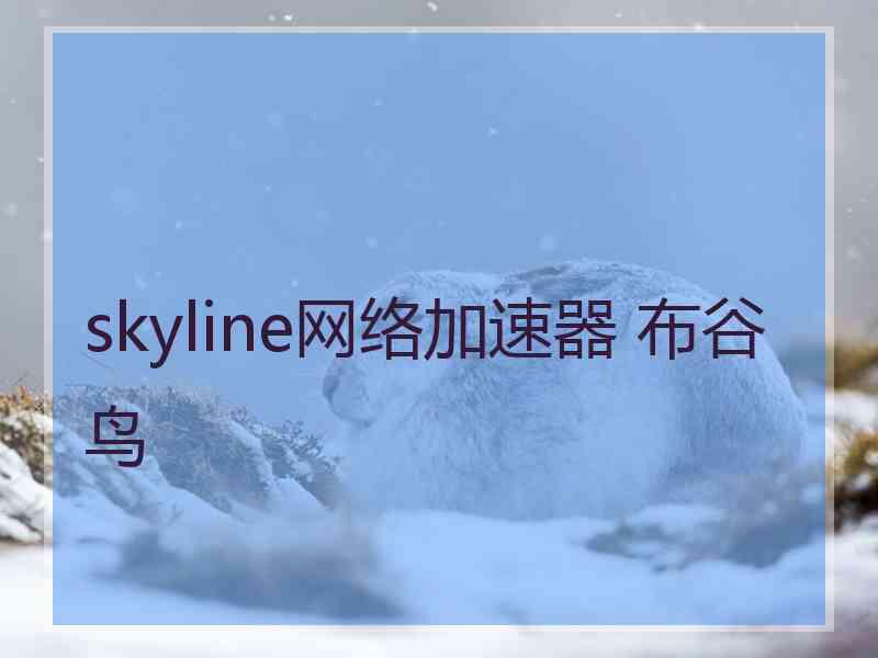skyline网络加速器 布谷鸟