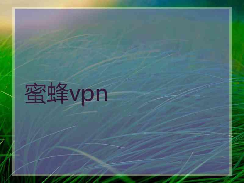 蜜蜂vpn