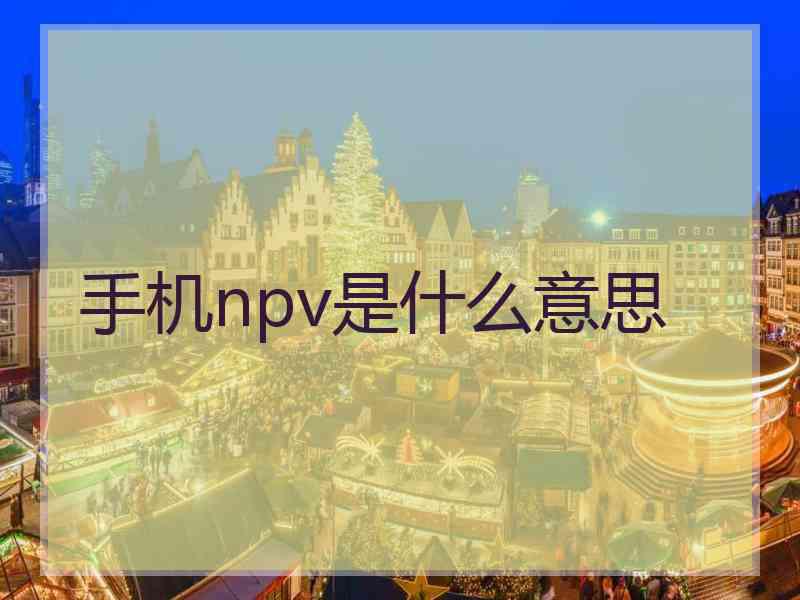 手机npv是什么意思