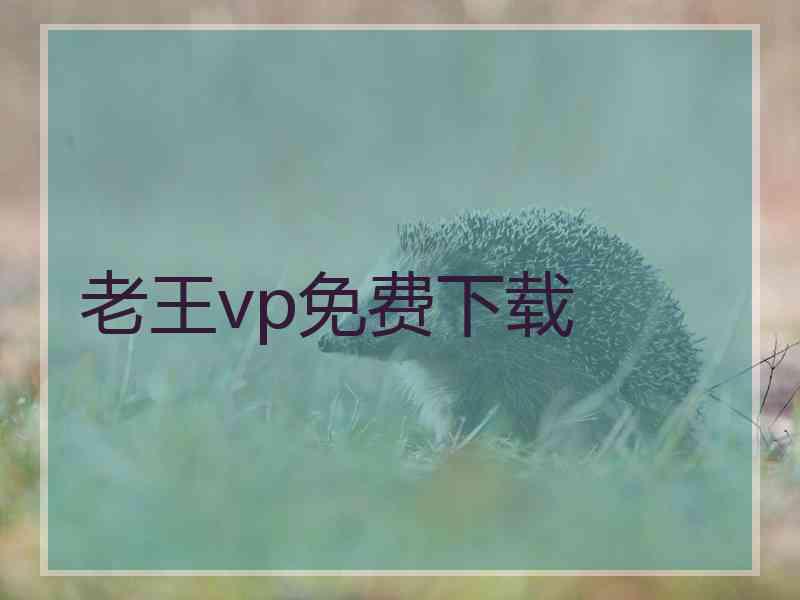 老王vp免费下载
