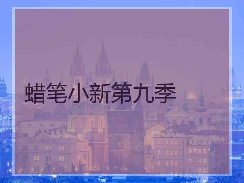 蜡笔小新第九季