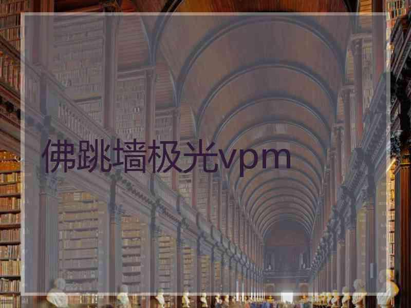 佛跳墙极光vpm