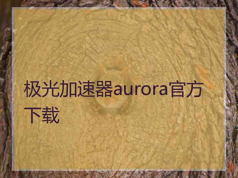 极光加速器aurora官方下载