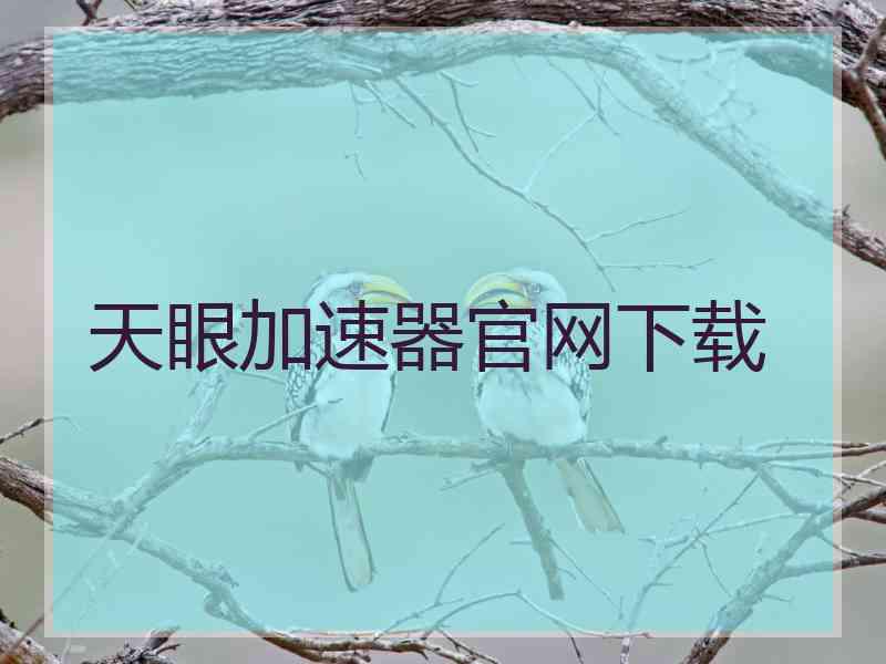 天眼加速器官网下载