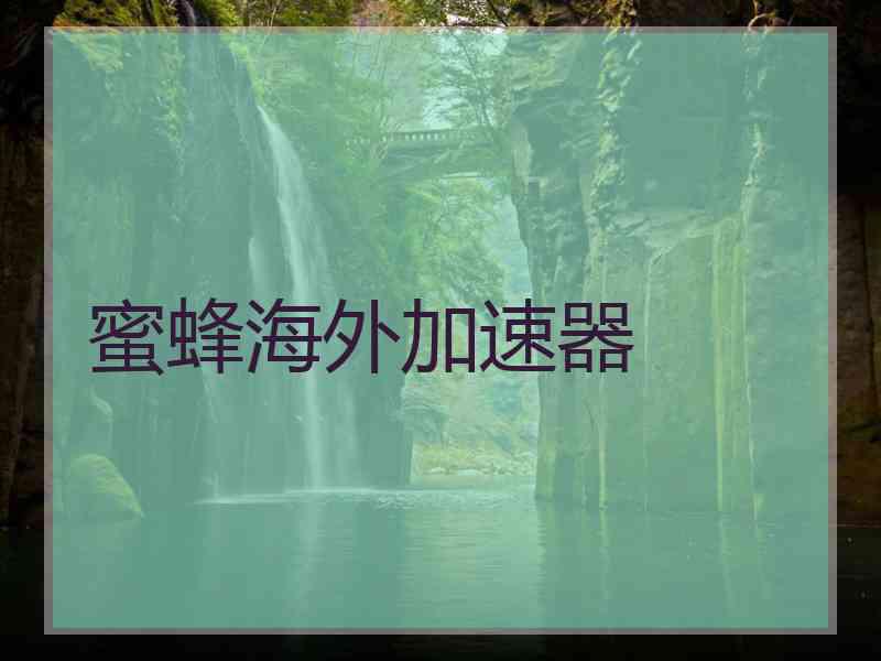 蜜蜂海外加速器