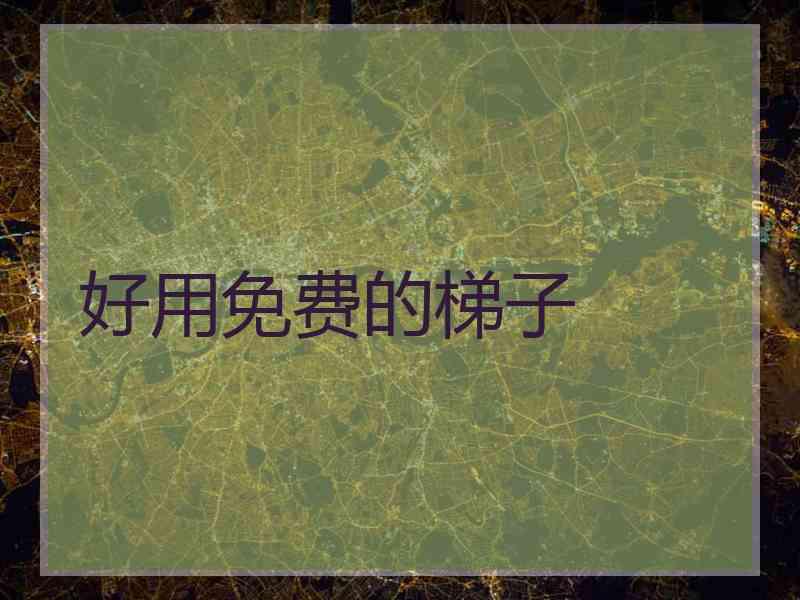 好用免费的梯子