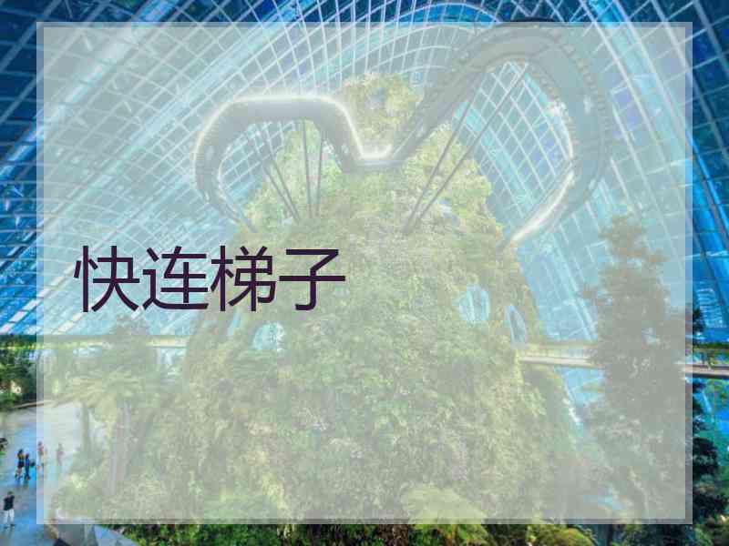 快连梯子