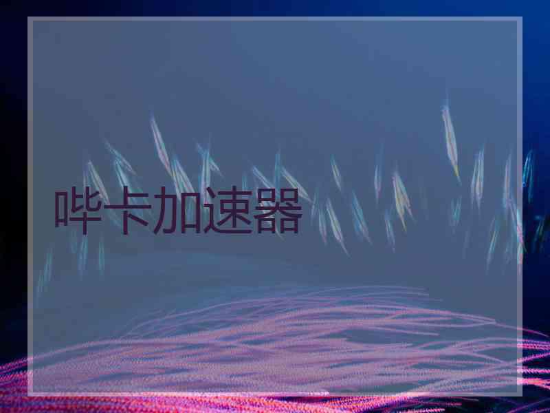 哔卡加速器