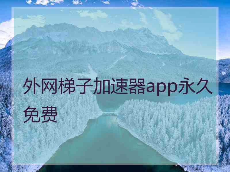 外网梯子加速器app永久免费