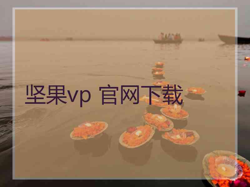 坚果vp 官网下载