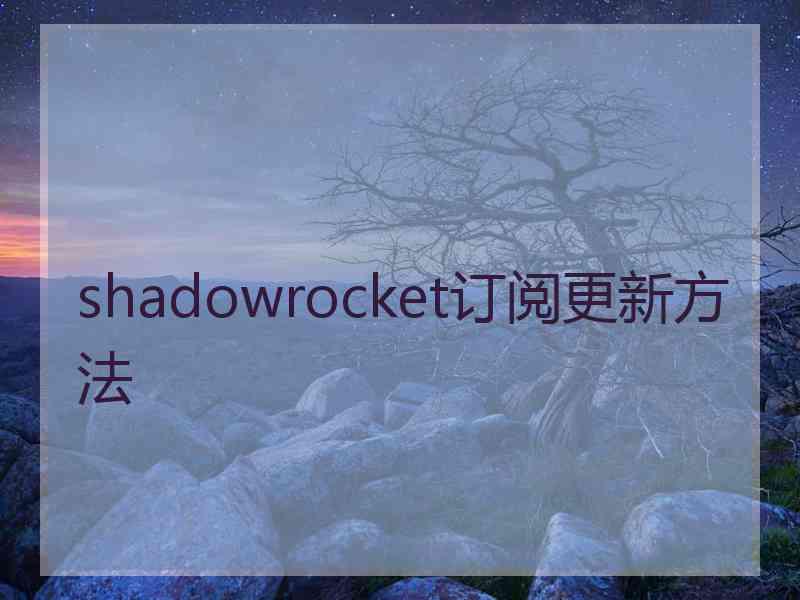 shadowrocket订阅更新方法