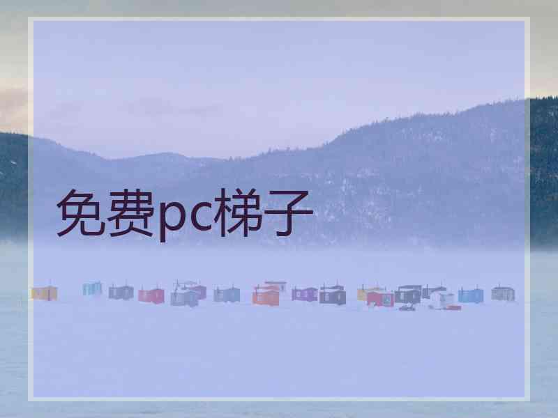 免费pc梯子