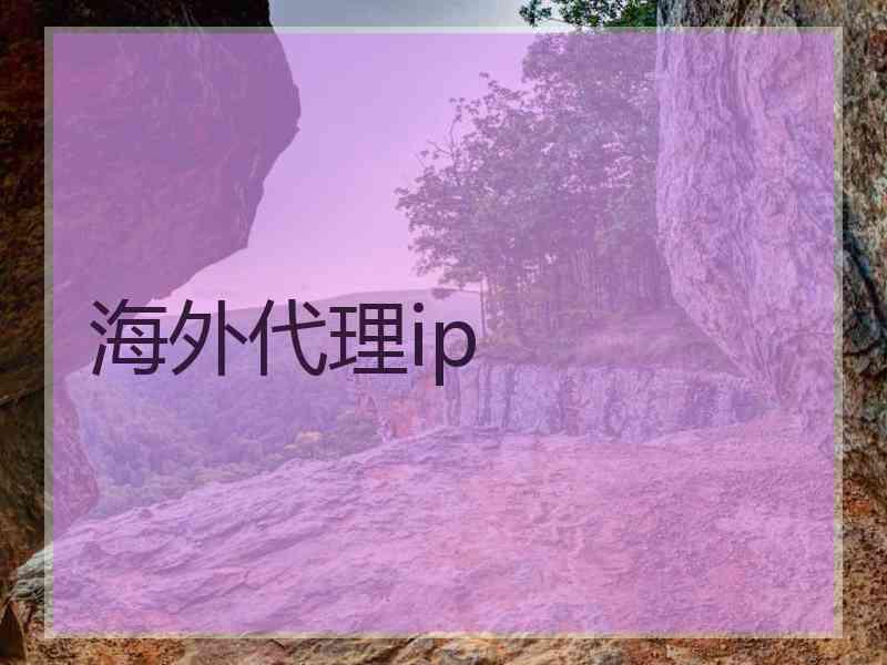 海外代理ip