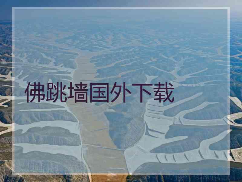 佛跳墙国外下载