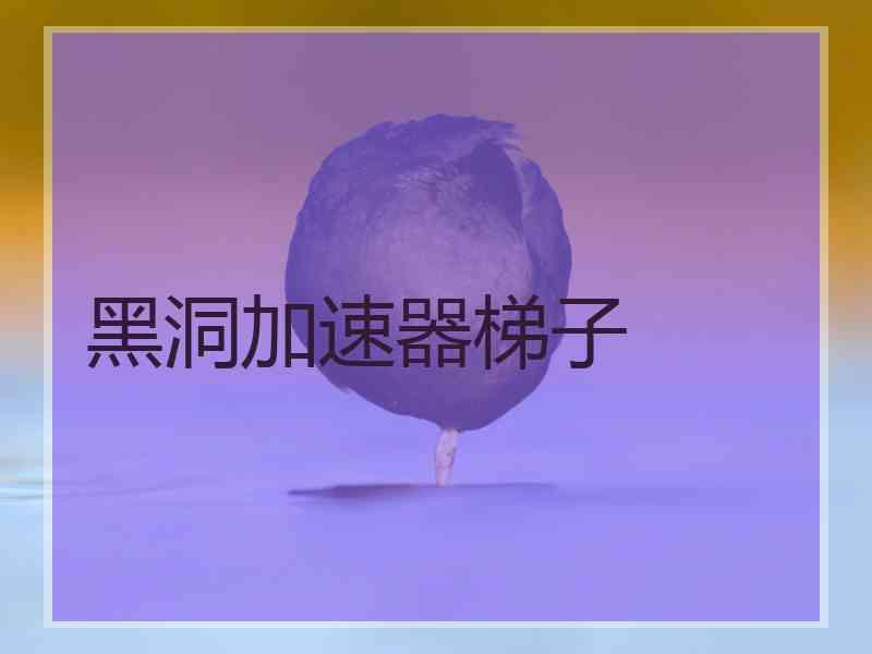 黑洞加速器梯子