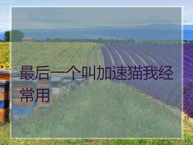 最后一个叫加速猫我经常用