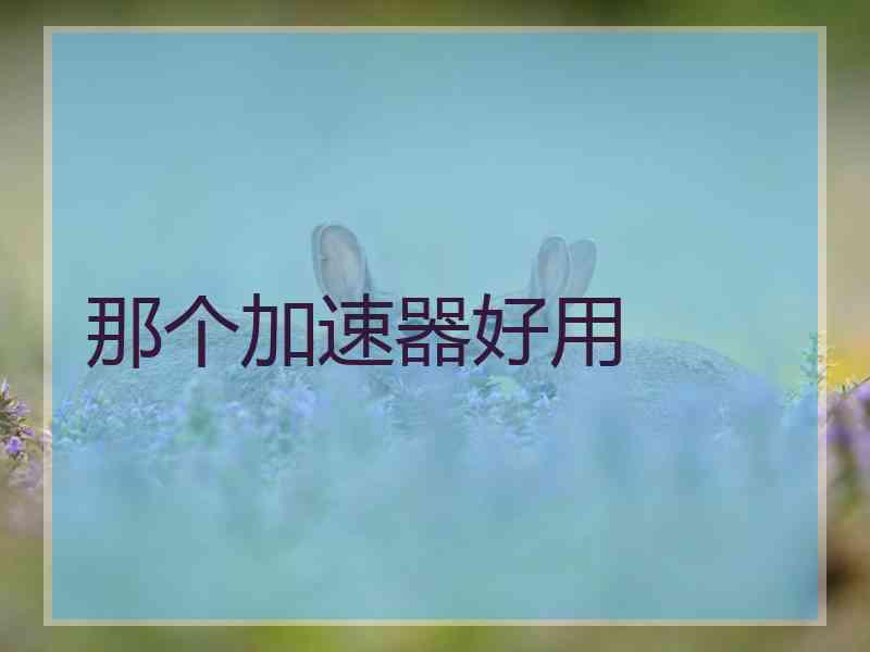 那个加速器好用