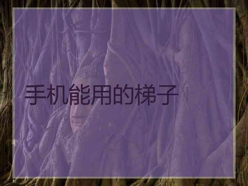 手机能用的梯子