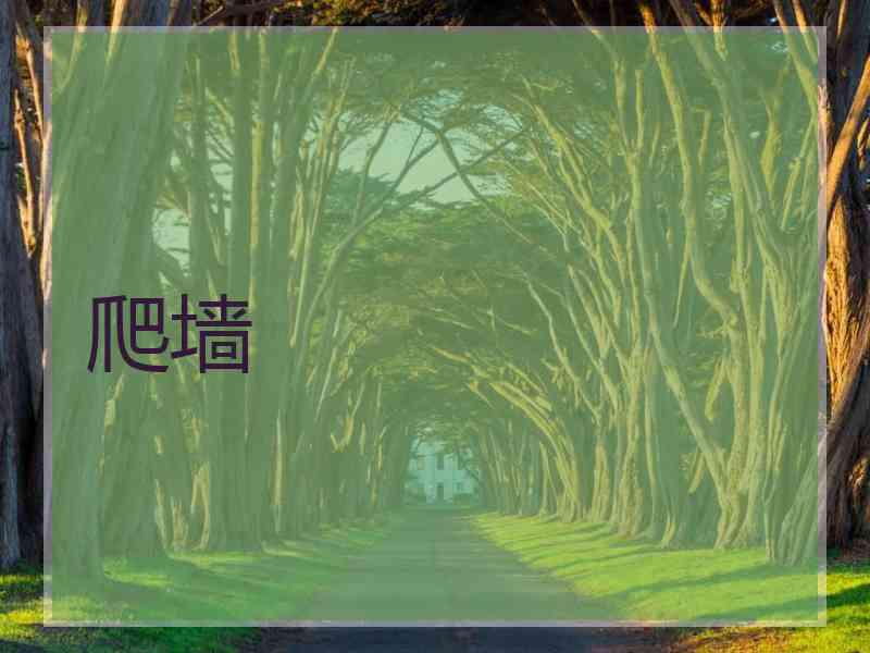 爬墙