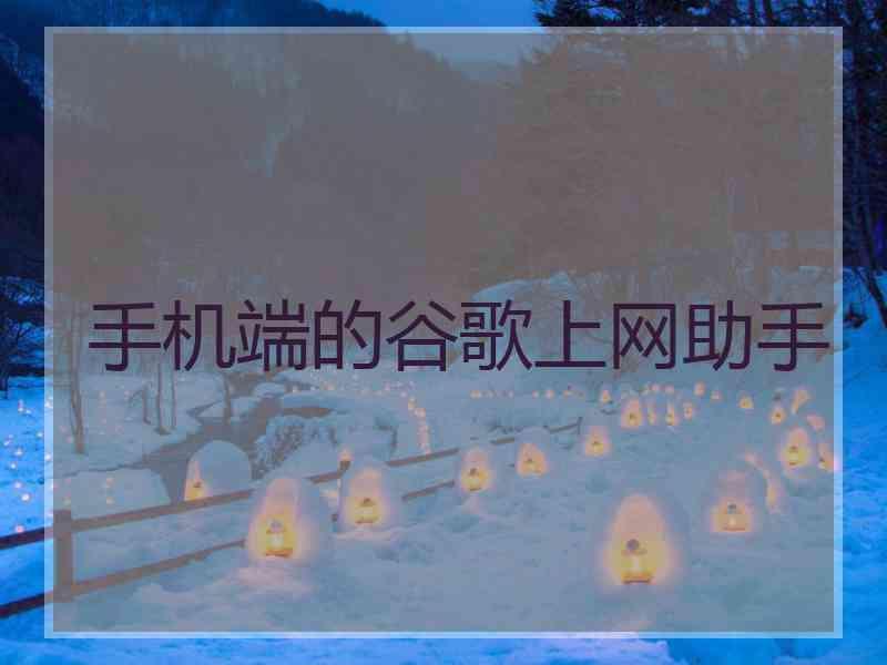 手机端的谷歌上网助手