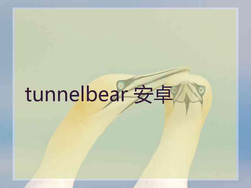 tunnelbear 安卓