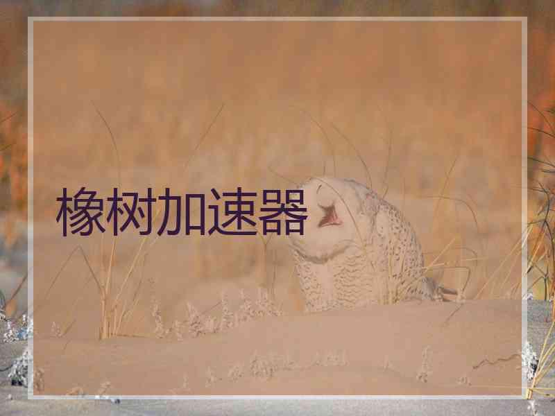 橡树加速器