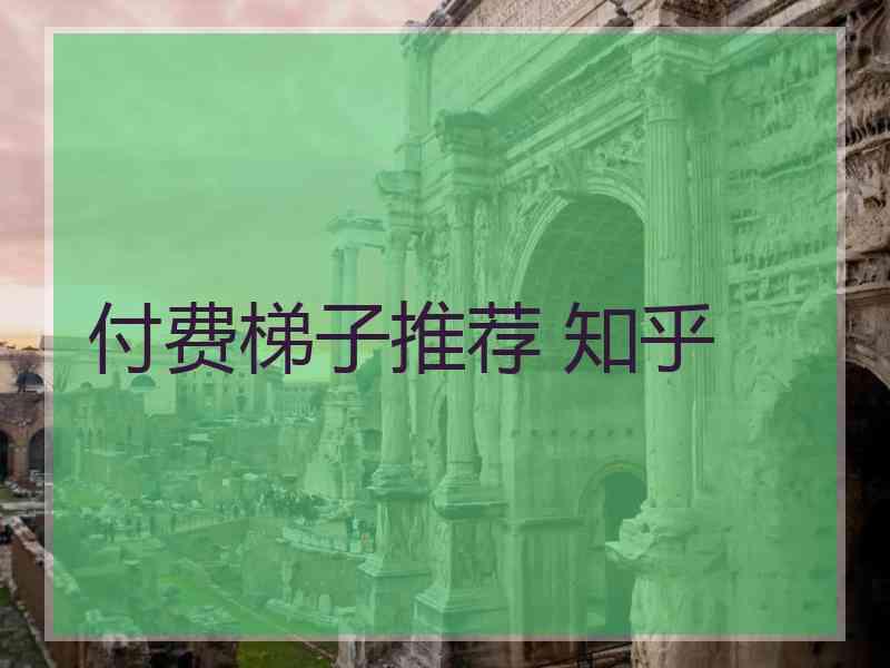 付费梯子推荐 知乎