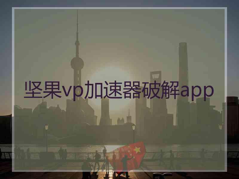 坚果vp加速器破解app