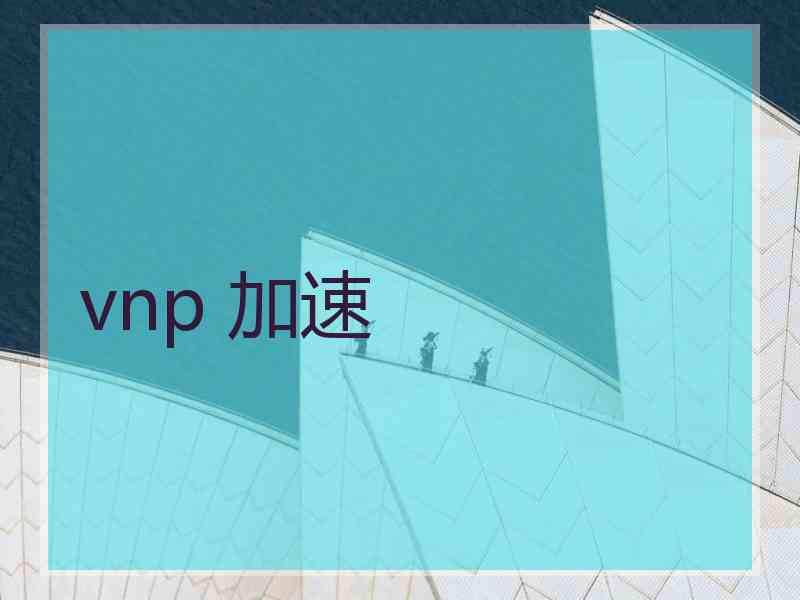 vnp 加速