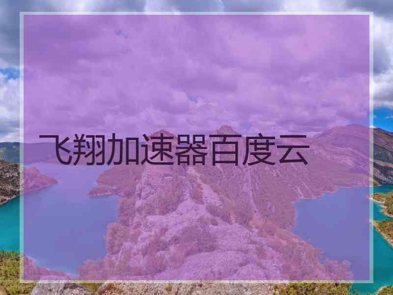 飞翔加速器百度云